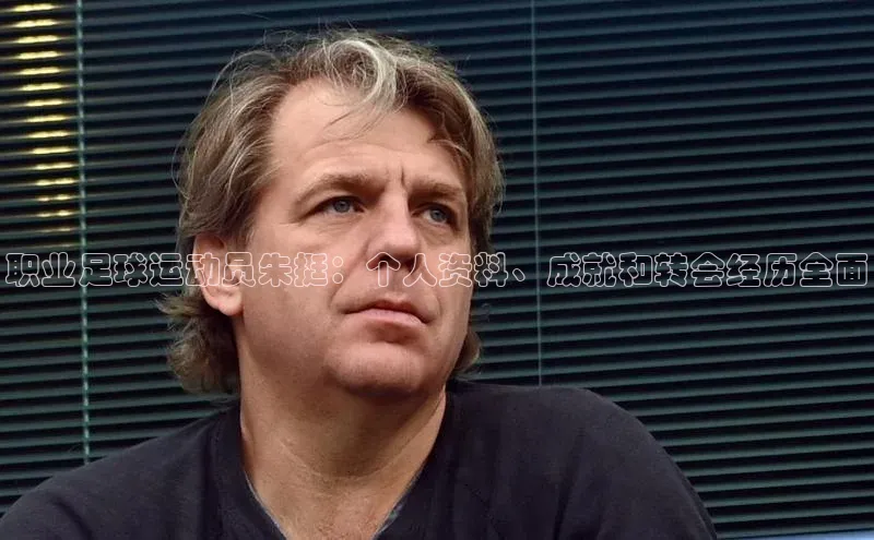 头玩官网登录入口诸葛科技职业足球运动员朱挺：个人资料、成就和转会经历全面