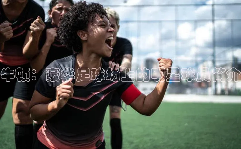 龙8网页版登录官网雷柏科技牛顿：豪华足球场上的明星球员简介