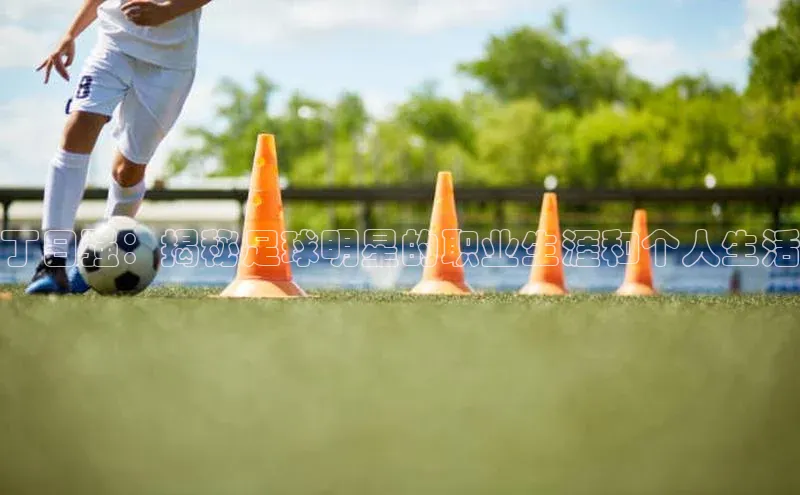 头号玩家官网登录美团丁日强：揭秘足球明星的职业生涯和个人生活