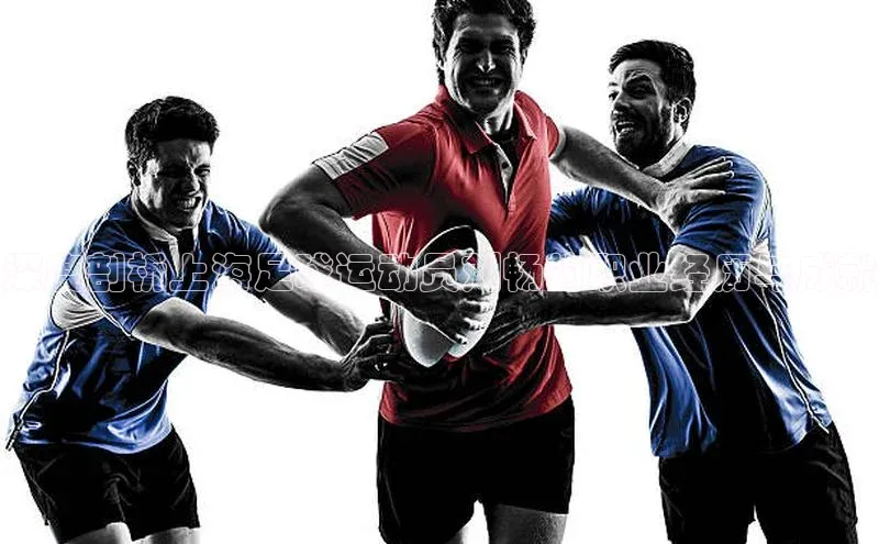 long8唯一中国官方网站百度游戏深度剖析上海足球运动员刘畅的职业经历与成就