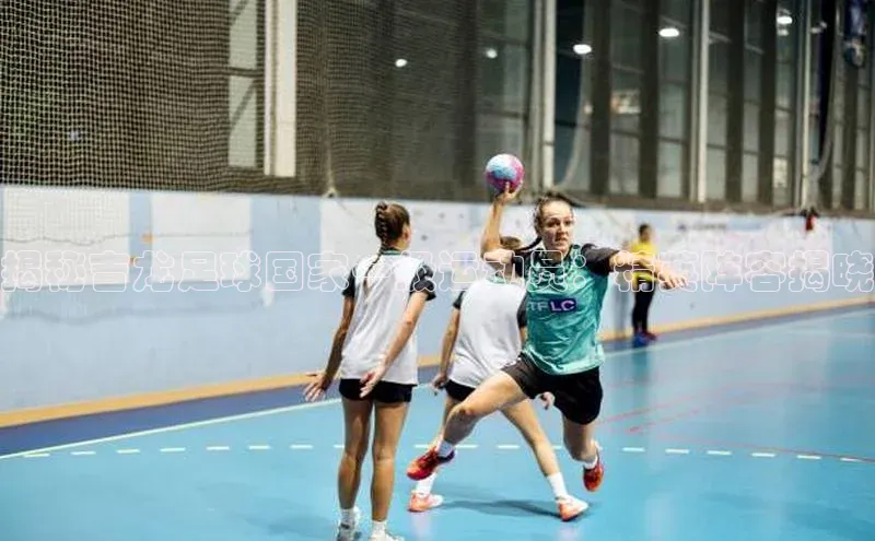 头号玩家娱乐平台百度数据开放平台揭秘吉龙足球国家一级运动员：精英阵容揭晓