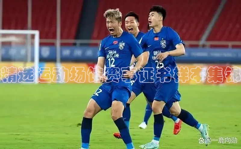 精选运动场馆赛事证书样本集锦