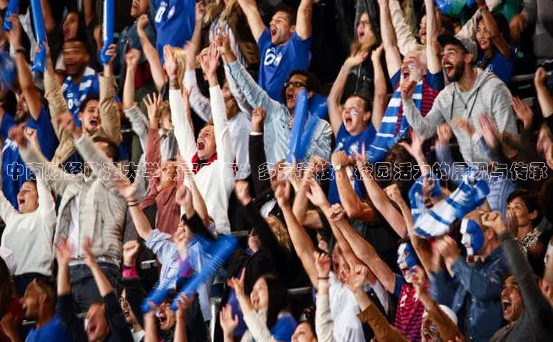 中南财经政法大学体育盛事：多元竞技，校园活力的展现与传承