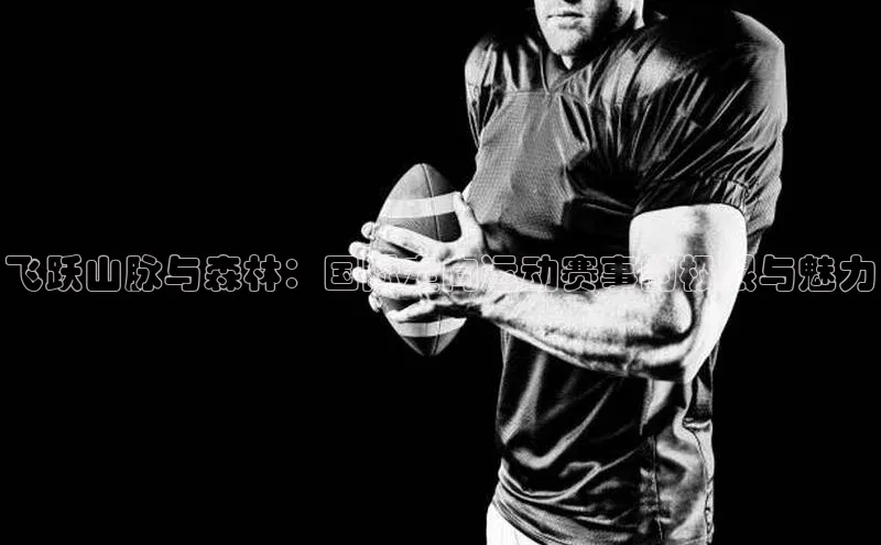 飞跃山脉与森林：国际定向运动赛事的极限与魅力