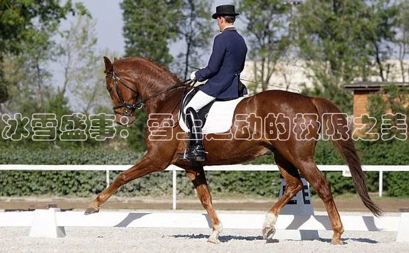 冰雪盛事：雪上运动的极限之美