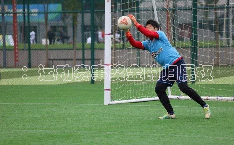 ：运动赛事奖金的归属权