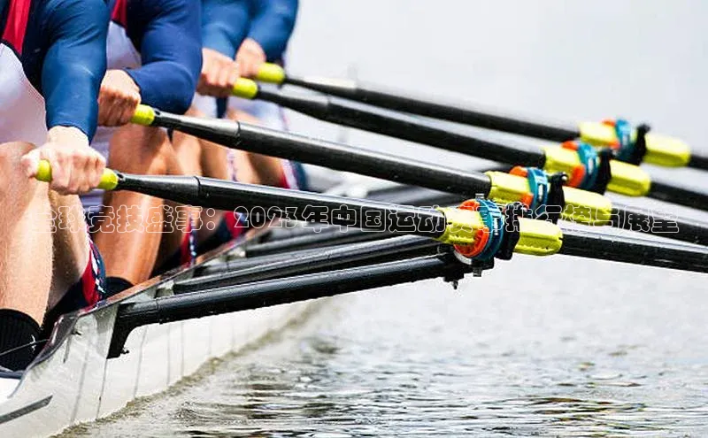 全球竞技盛事：2023年中国运动赛事排行榜与展望