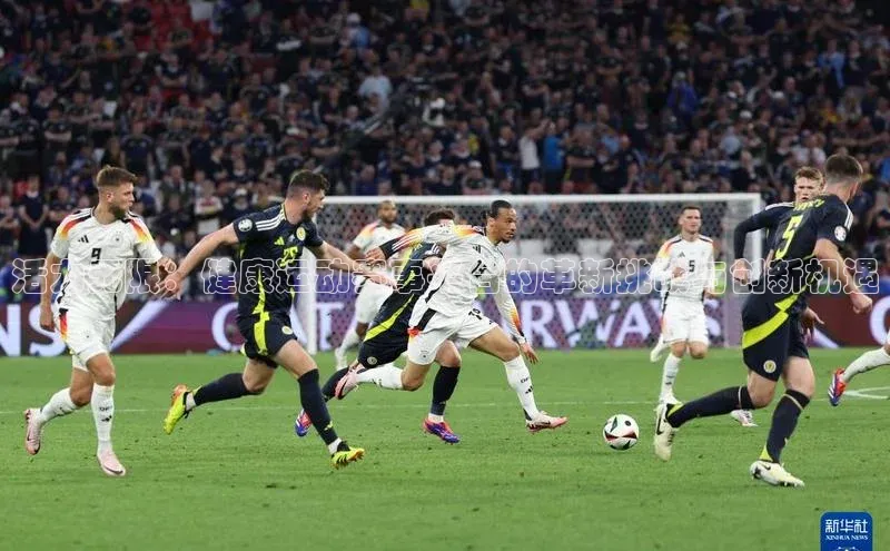 活力无限：健康运动赛事平台的革新挑战与创新机遇