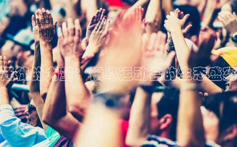 迁徙的力量：候鸟运动会的生态盛宴