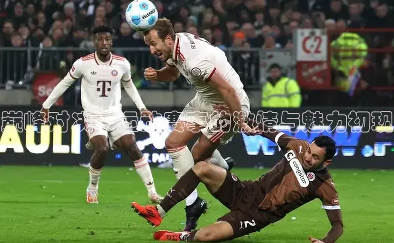 巅峰对决：运动赛事的激情与魅力初现