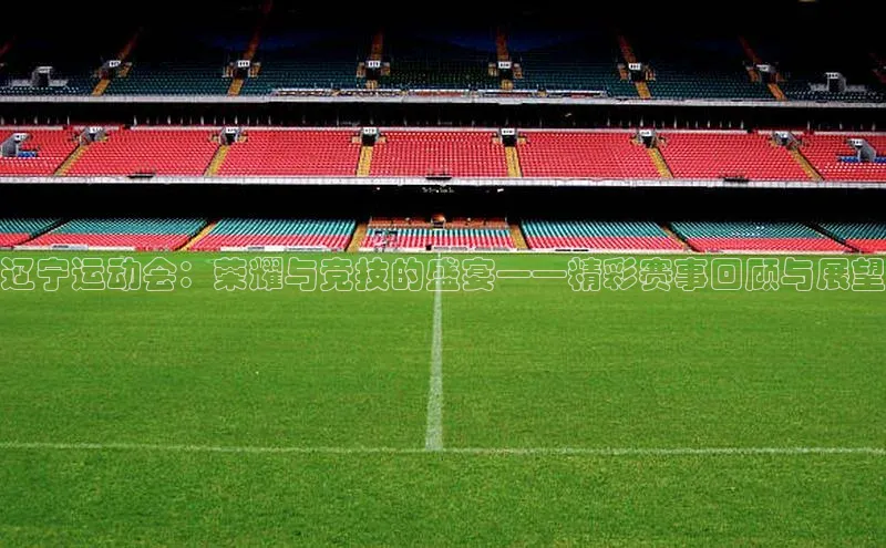 辽宁运动会：荣耀与竞技的盛宴——精彩赛事回顾与展望