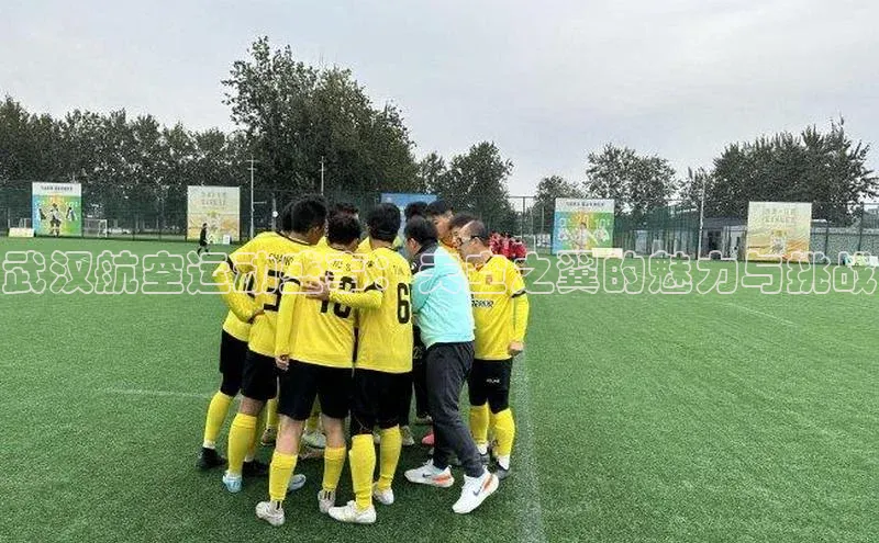 武汉航空运动盛事：天空之翼的魅力与挑战