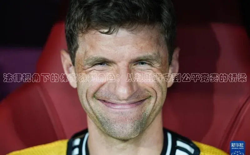 法律视角下的体育裁判角色：从规则遵守到公平竞赛的桥梁