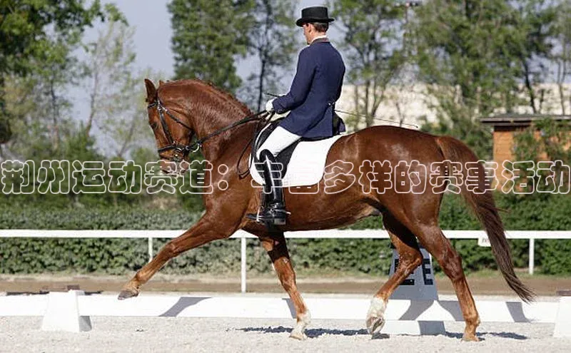 头玩官网登录入口