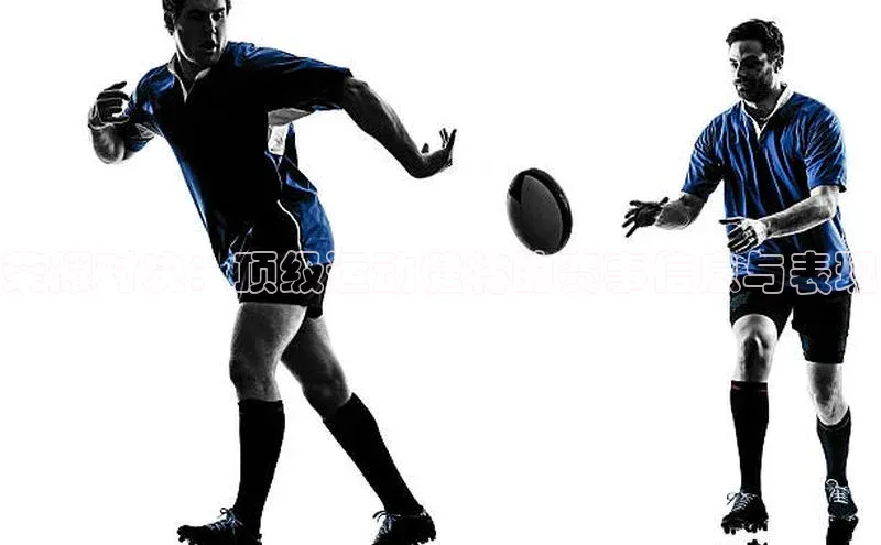 荣耀对决：顶级运动健将的赛事信息与表现